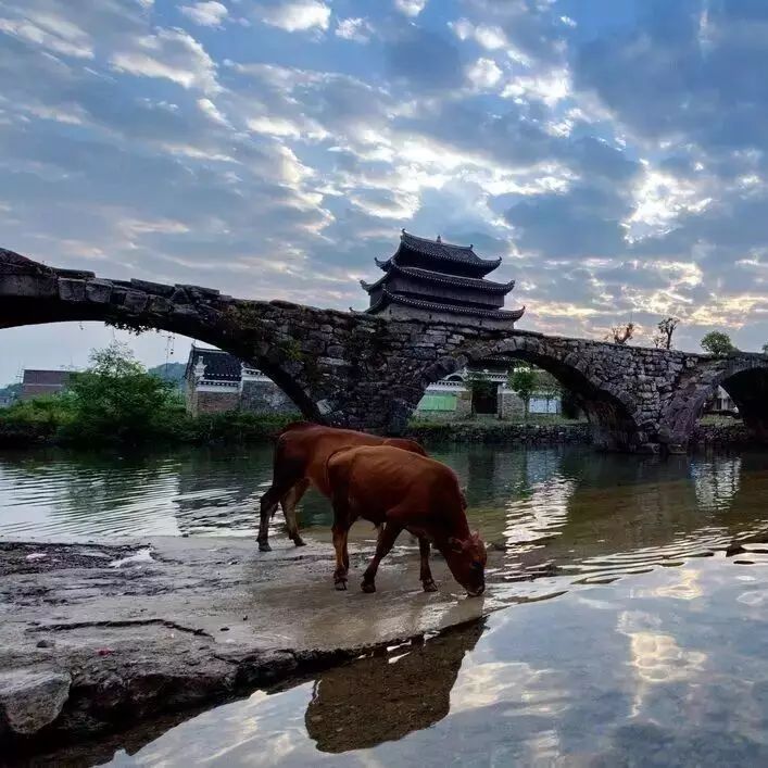 汪涵吴秀波众多明星齐聚湖南永州,两天一夜《我们来了》玩转“竹城”!