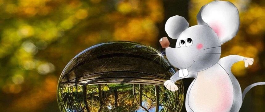 2020年度大吐槽 | 我的公寓有老鼠！！！