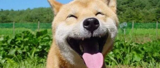 英国留学生忍不住了，就回国吧！回不去的，请谨防抑郁症！