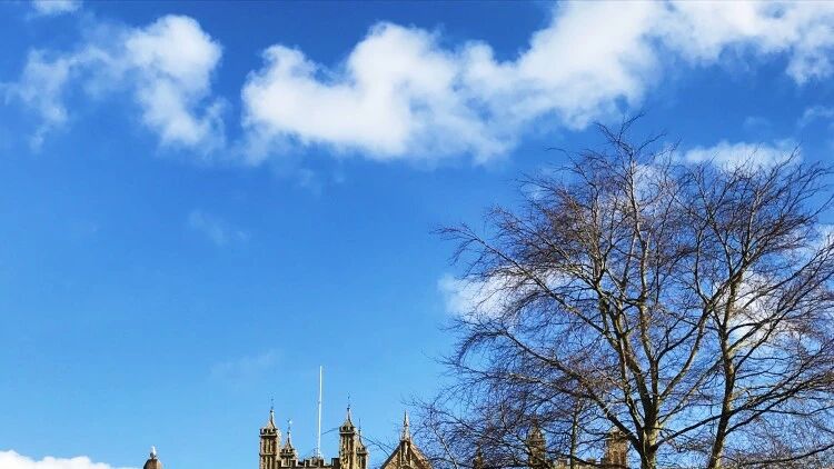 英国的夏天，让我真的爱不释手，随手一拍都很美！