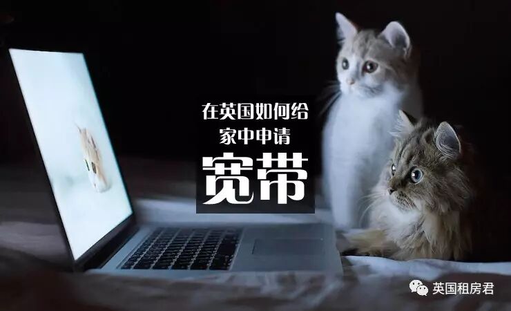 英国如何装宽带、交水电费？