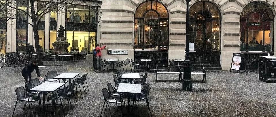 熬过了冬天结果差点冻死在英国的春天