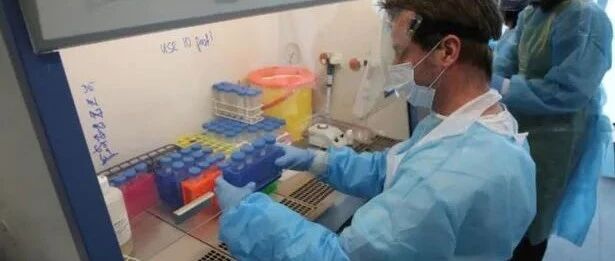 4月24日 | 英国全体免疫，有望夏天告别口罩 | 英国留学生要了解的疫情信息（日报）