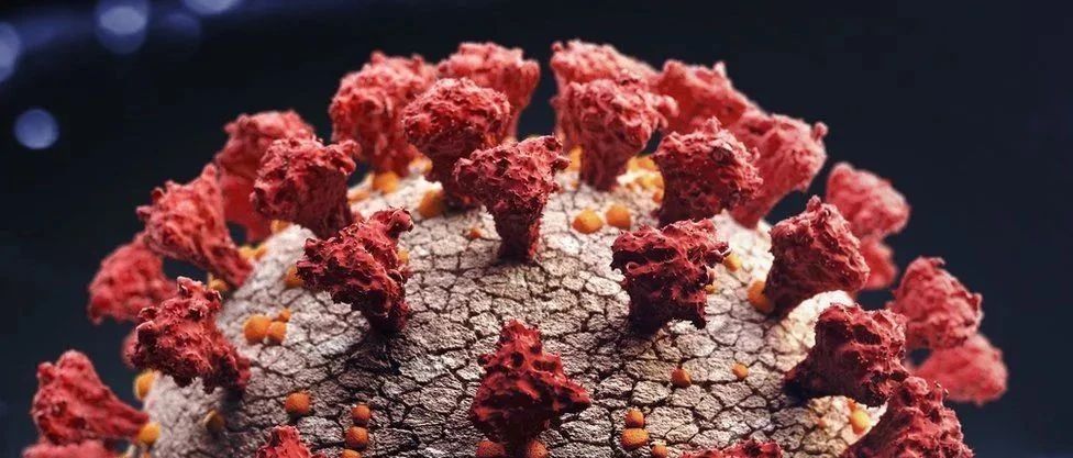 3月5日  | 英国又发现新变异病毒16人感染，护士薪资仅涨1%计划罢工！ | 英国留学生要了解的疫情信息（日报）