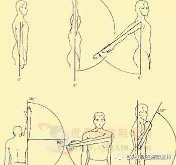 肩关节的运动