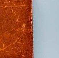 太极禅杨荇农院长受邀出席《领袖经营智慧》做主题分享