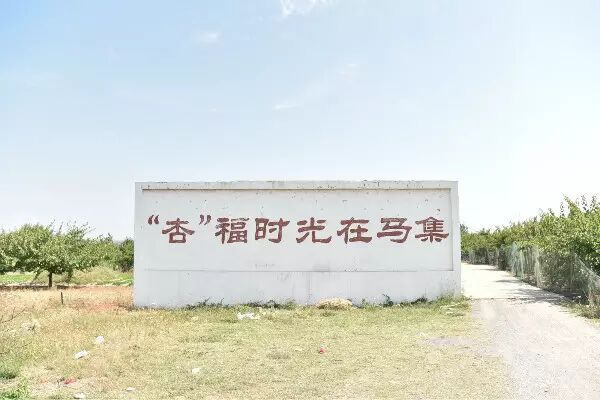 徐州这个地方一天玩个来回刚刚好！还有漂流、采摘、骑马和龙虾节在向你招手