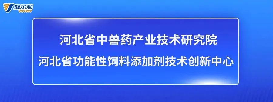 【收藏】肉鸡病毒性感冒防治 河北维尔利动物药业集团有限公司