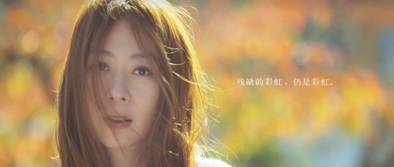 陈绮贞 全新创作专辑《沙发海》- 一些关于孤独的歌