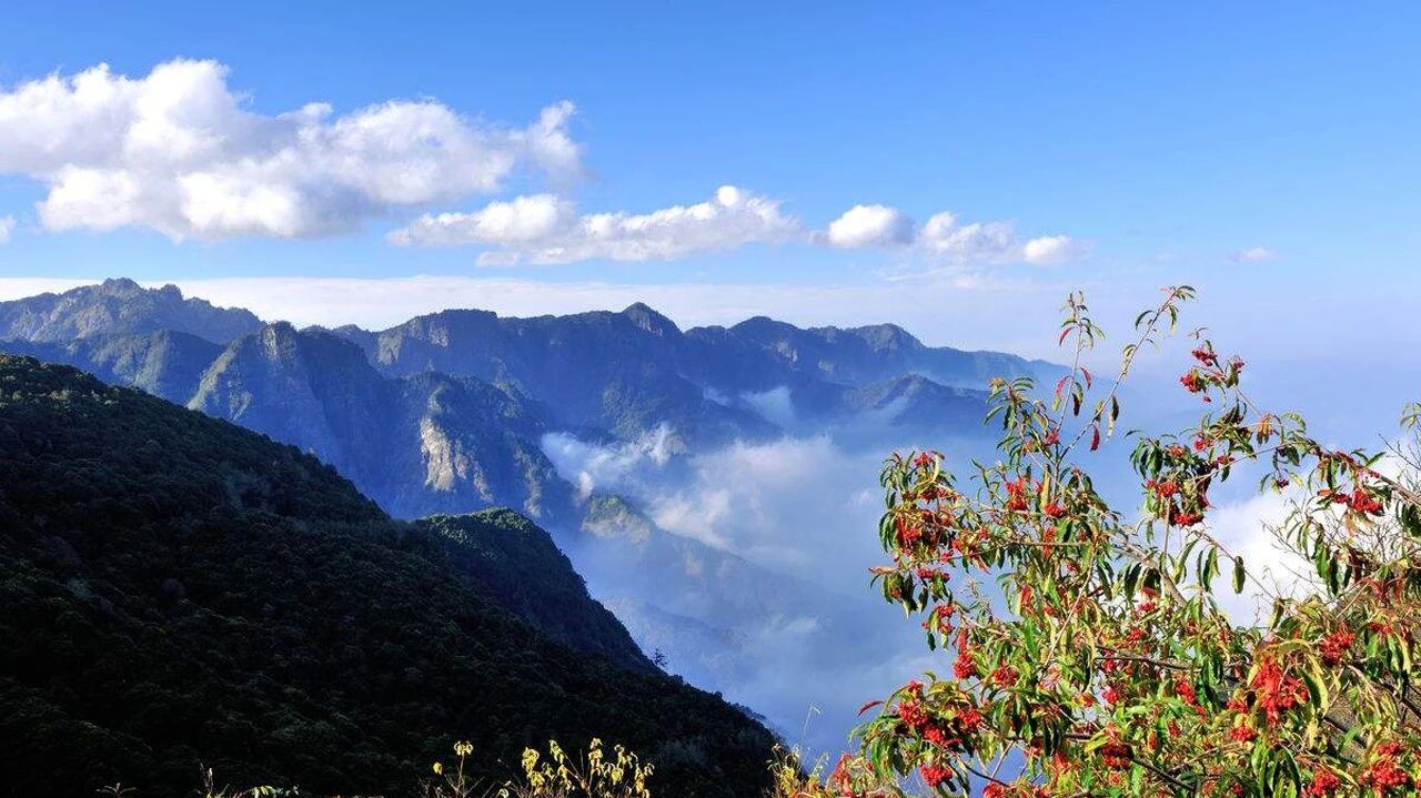 收录于合集⭐《云中群峰》漫步在一个心灵与自然的世界！