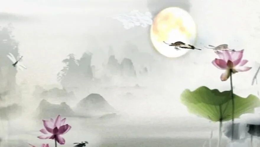 收录于合集⭐音乐早茶：淡泊尘心，静听花开