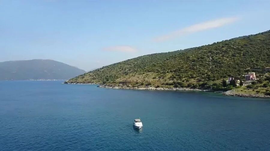 正月十二，早安！