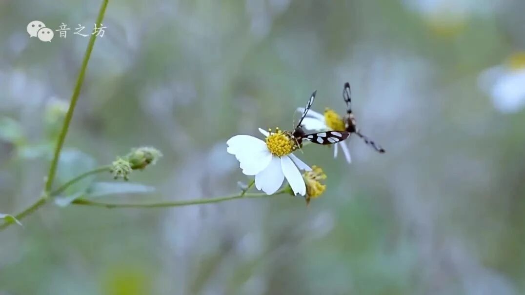 五月的第一天，收拾心情，迎接新的开始！
