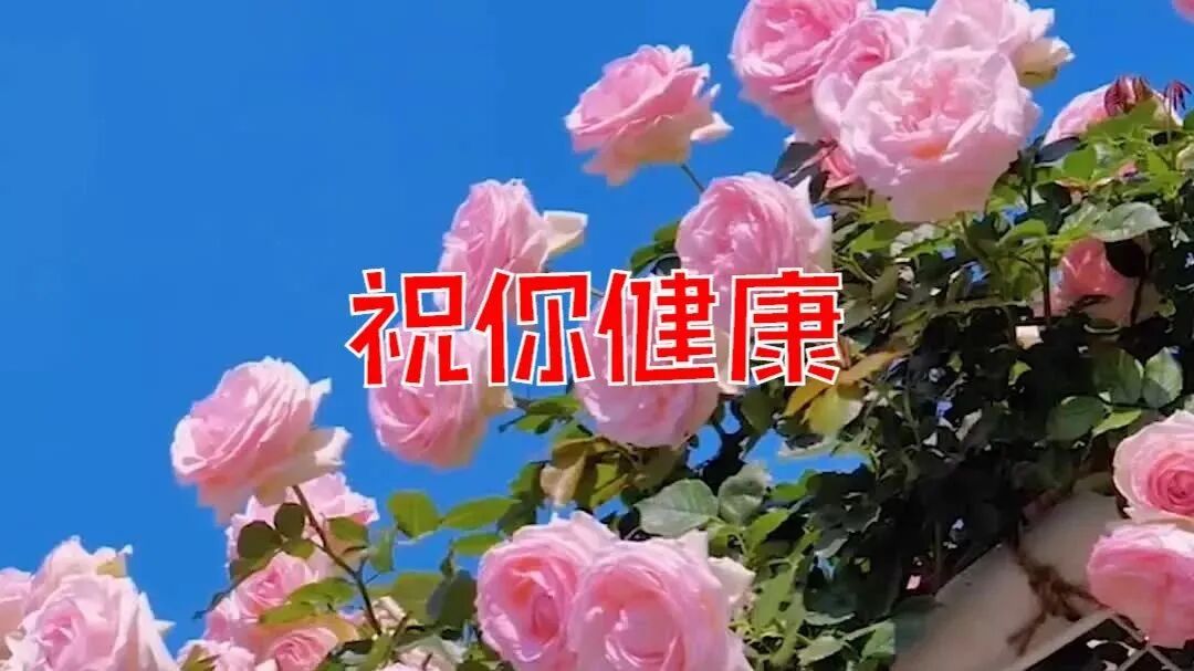 收录于合集⭐平安是福，健康最贵！