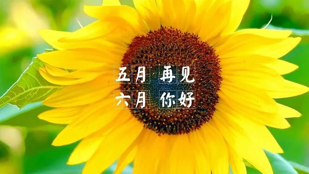 如果您喜欢这首音乐，别忘了点个在看哦~👇👇👇⭐五月，再见！六月，你好！
