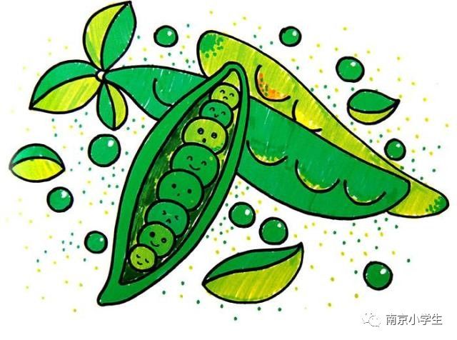 世上最美丽的一朵玫瑰花代表勇于为人民解除苦难而牺牲的人,豌豆帮助