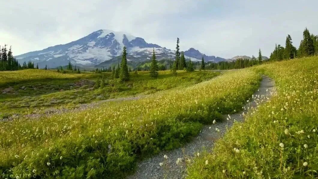 收录于合集⭐经典怀旧老歌，满满的回忆！