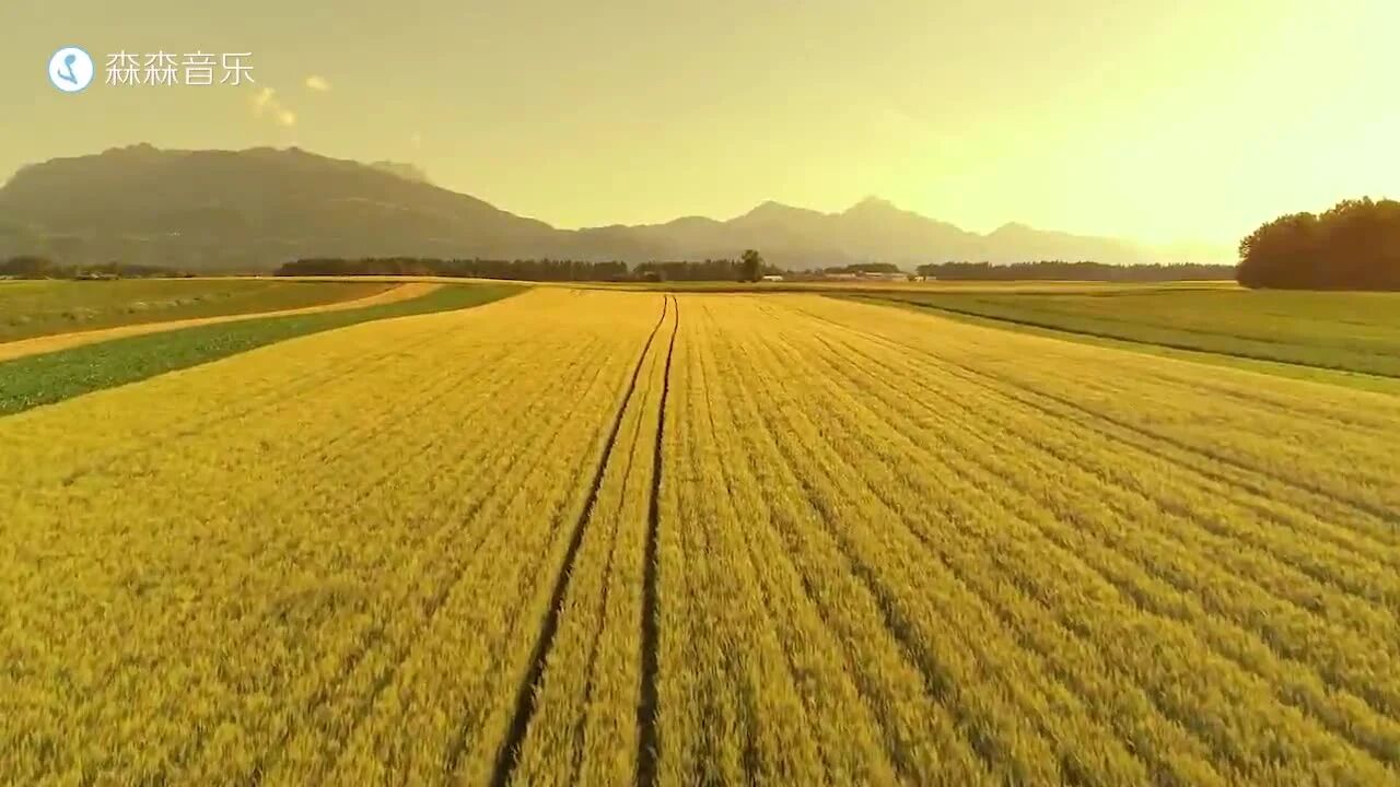 晨曲，早安！-2