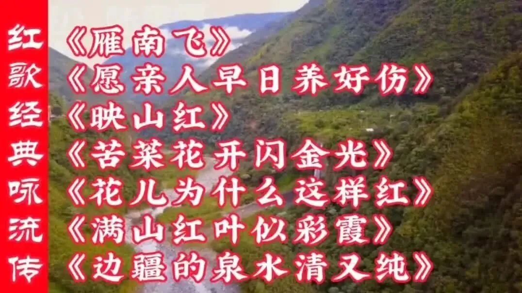 收录于合集⭐经典怀旧老歌，满满的回忆！