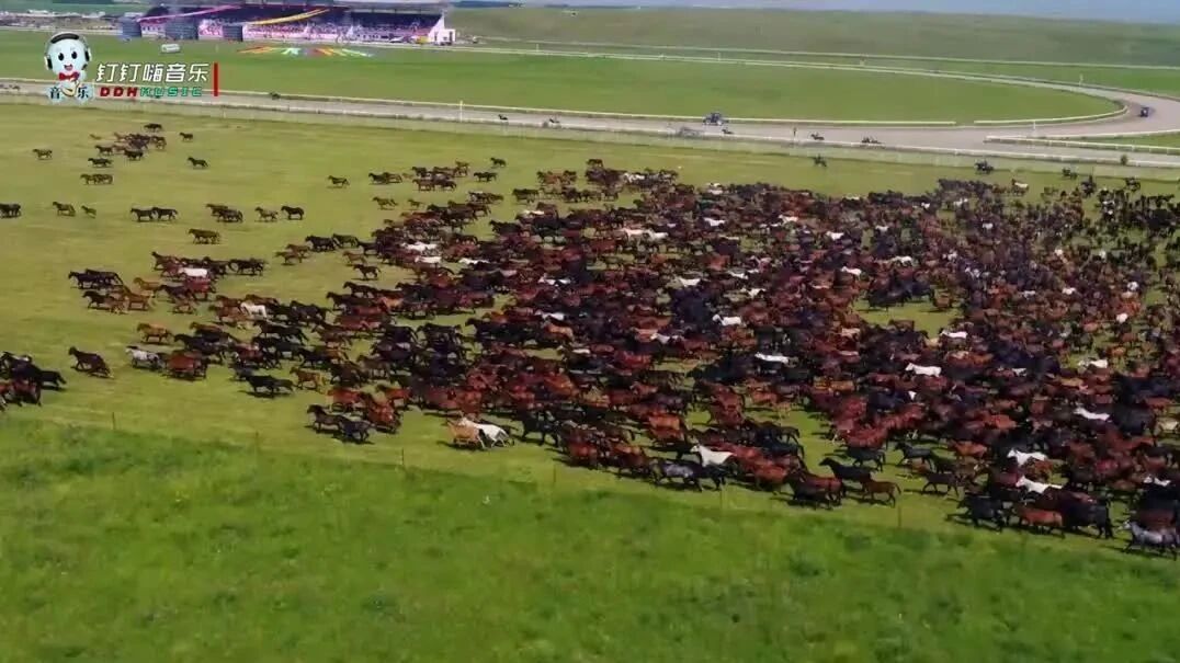 竹笛经典纯音乐⭐晨曲，早安！