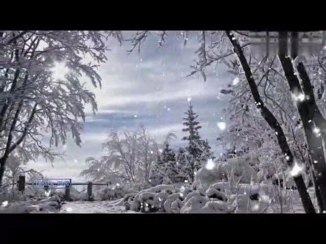 晨曲，早安！-4