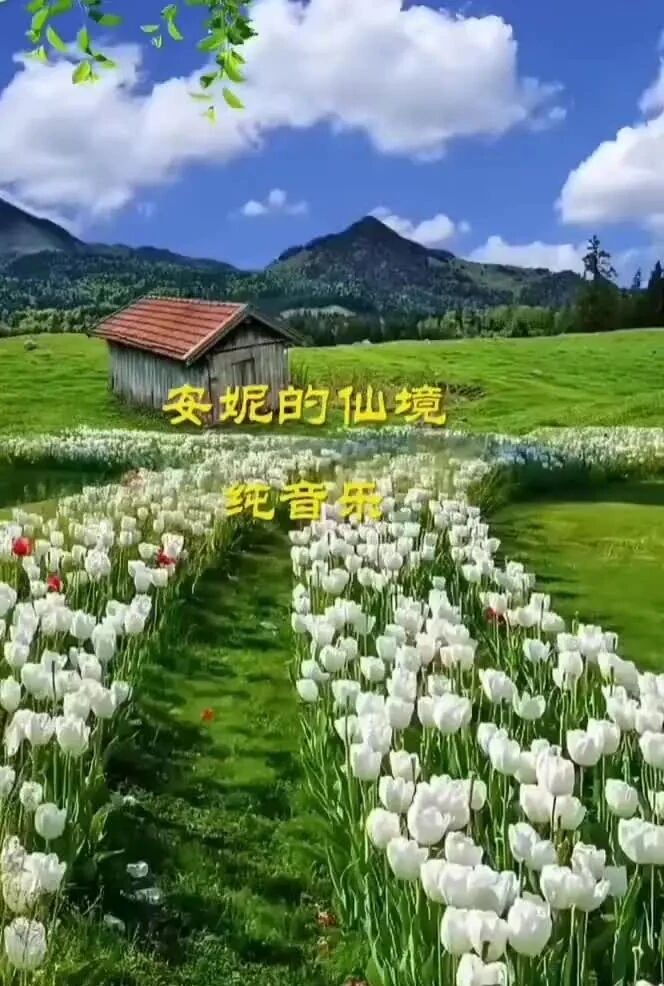 唯美音画：安妮的仙境