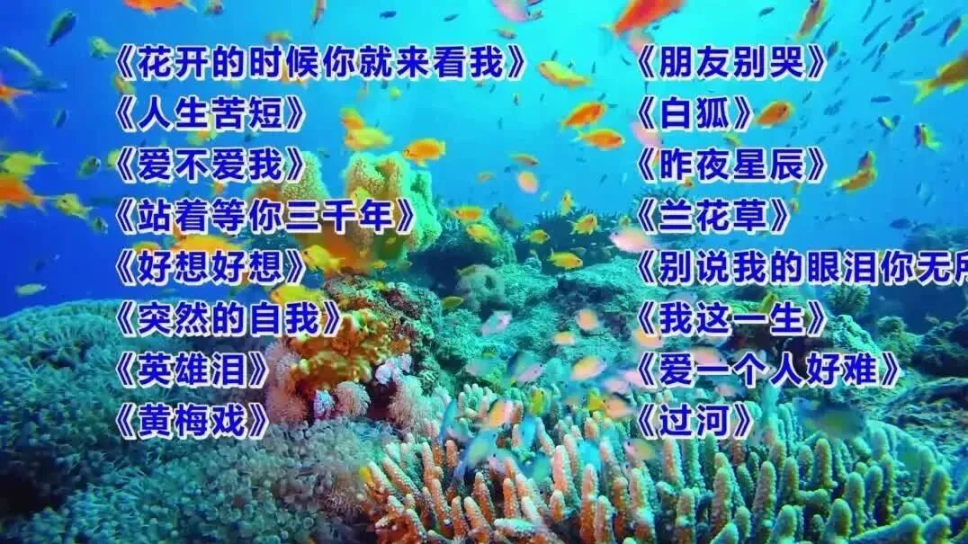 收录于合集⭐经典怀旧老歌，满满的回忆！