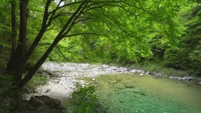 六月再见，七月你好！