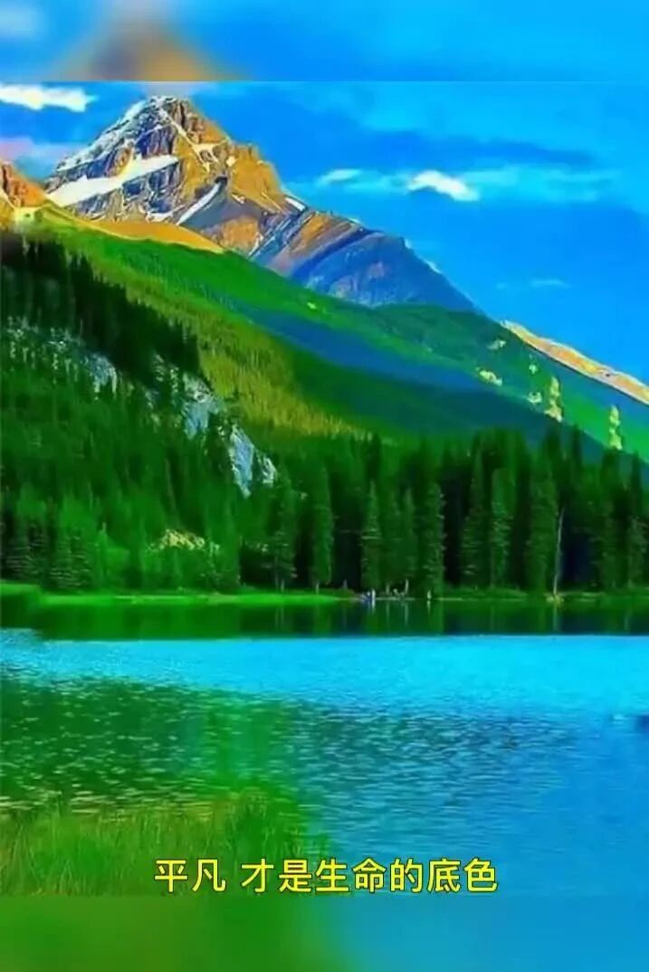 唯美音画：平凡，才是生命的底色！