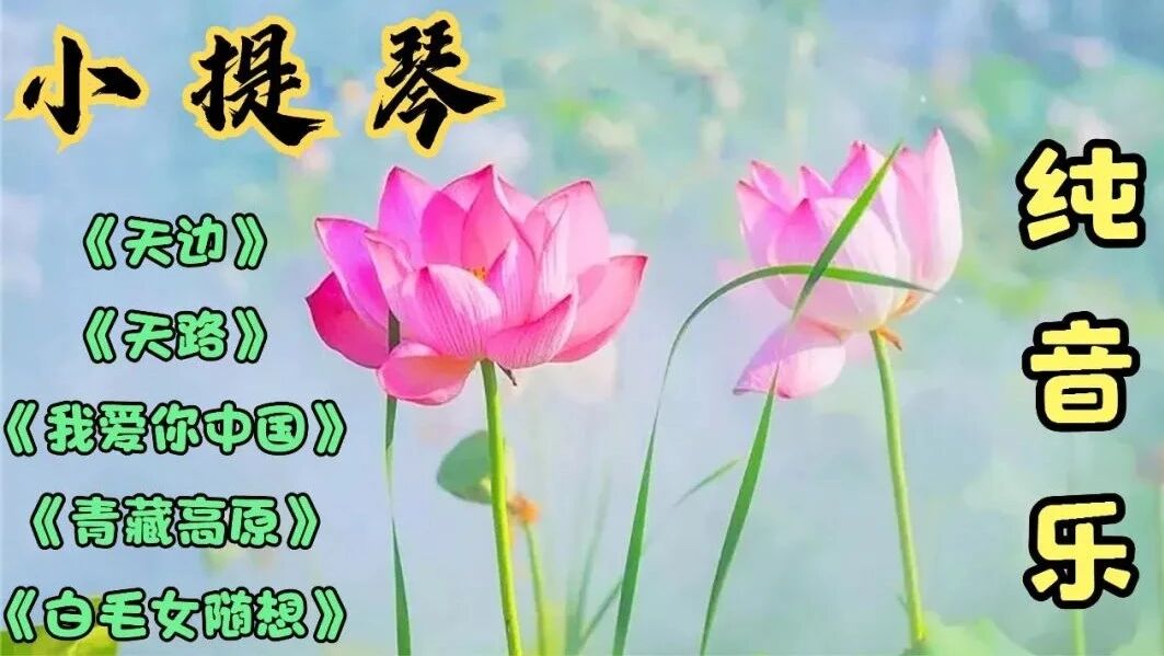 小提琴经典名曲⭐晨曲，早安！