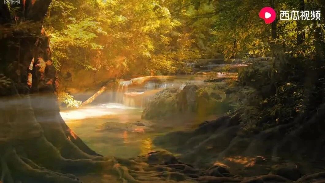 《Morning Whisper》⭐晨曲，早安！