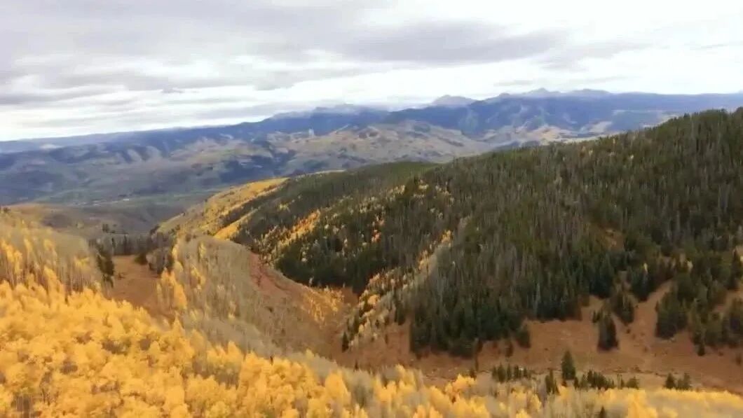 收录于合集⭐周末，祝福！