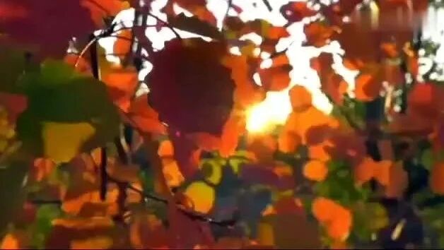 晨曲，早安！-1