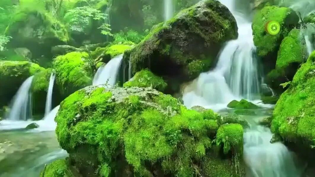 十首梦之旅组合歌曲⭐洗脑最厉害的22句名言！