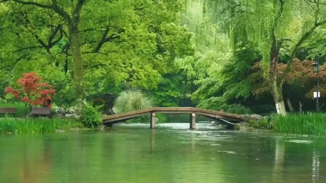 收录于合集⭐经典怀旧老歌，满满的回忆！