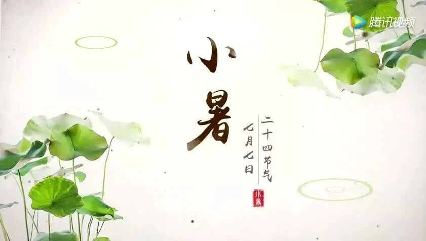 今日小暑丨温风至，盛夏始！