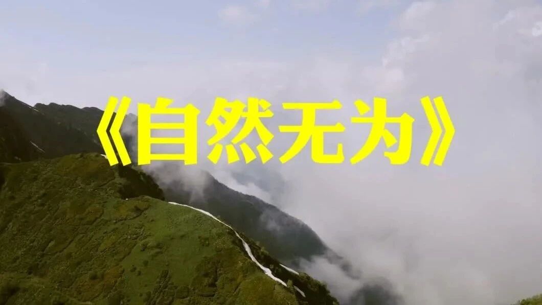 美好的一天，从清晨问候开始！