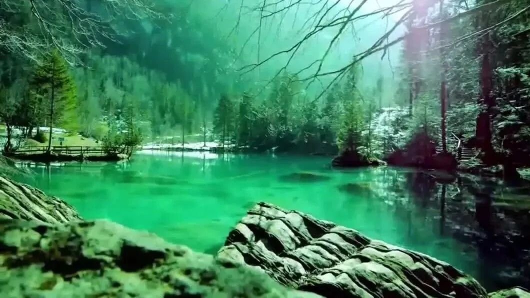 收录于合集⭐周五，祝福！