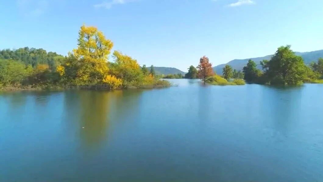 《任逍遥》⭐周末《任逍遥》， 忘记世间烦恼！