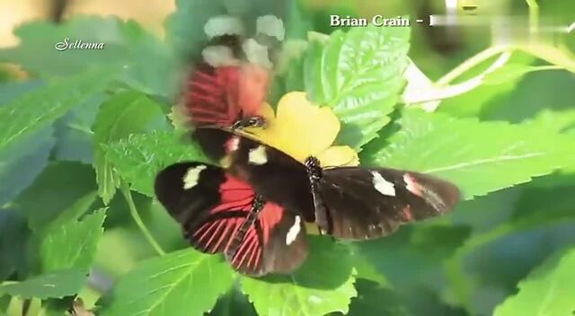 晨曲，早安！-3