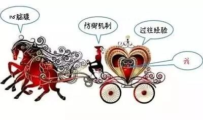 九型人格心脑腹图