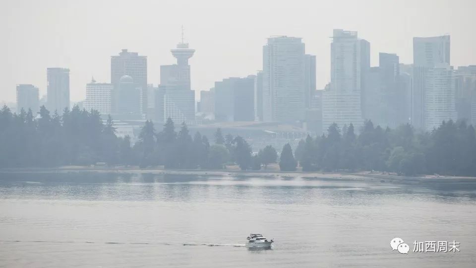 有救了！暴雨将至 温哥华雾霾即将散去 终于不用再吸毒气了！