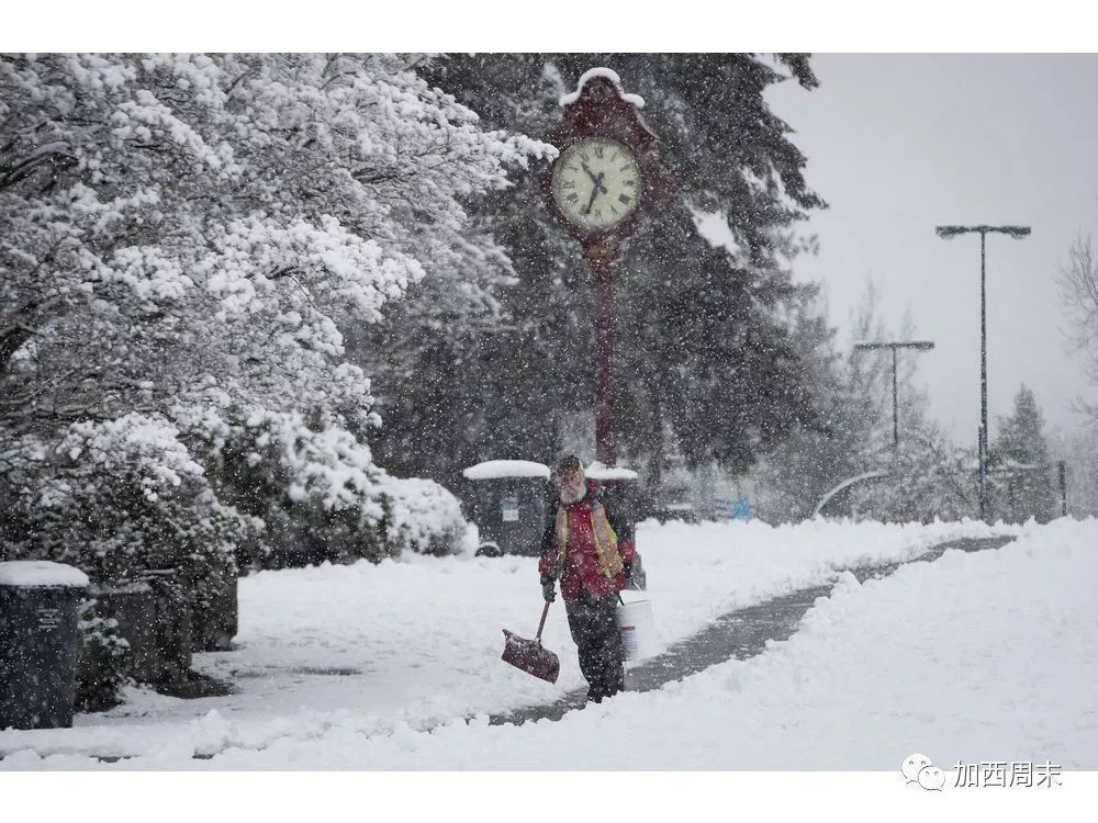 扎心！温哥华今年冬天将很难熬！大量降雨降雪 做好准备吧！