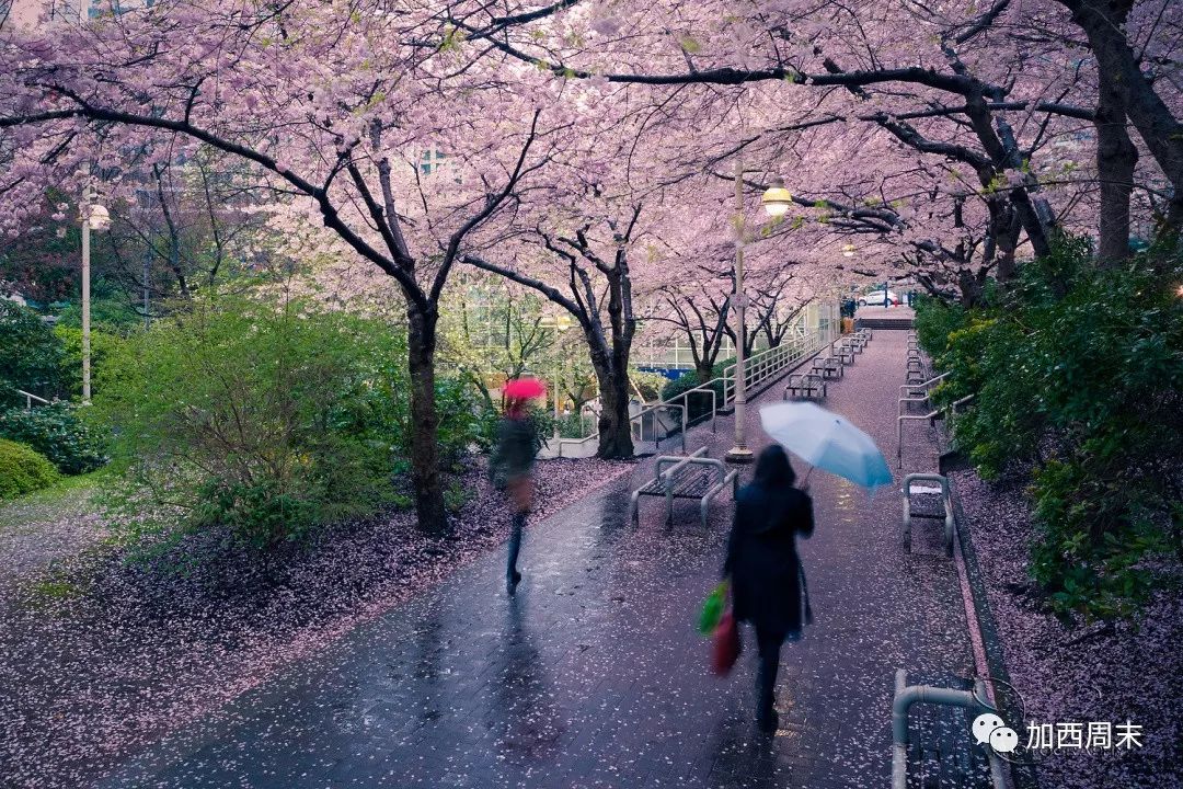 扎心！温哥华今年冬天将很难熬！大量降雨降雪 做好准备吧！