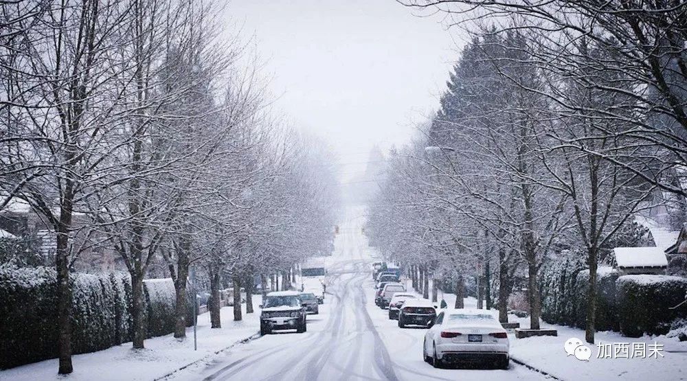 扎心！温哥华今年冬天将很难熬！大量降雨降雪 做好准备吧！