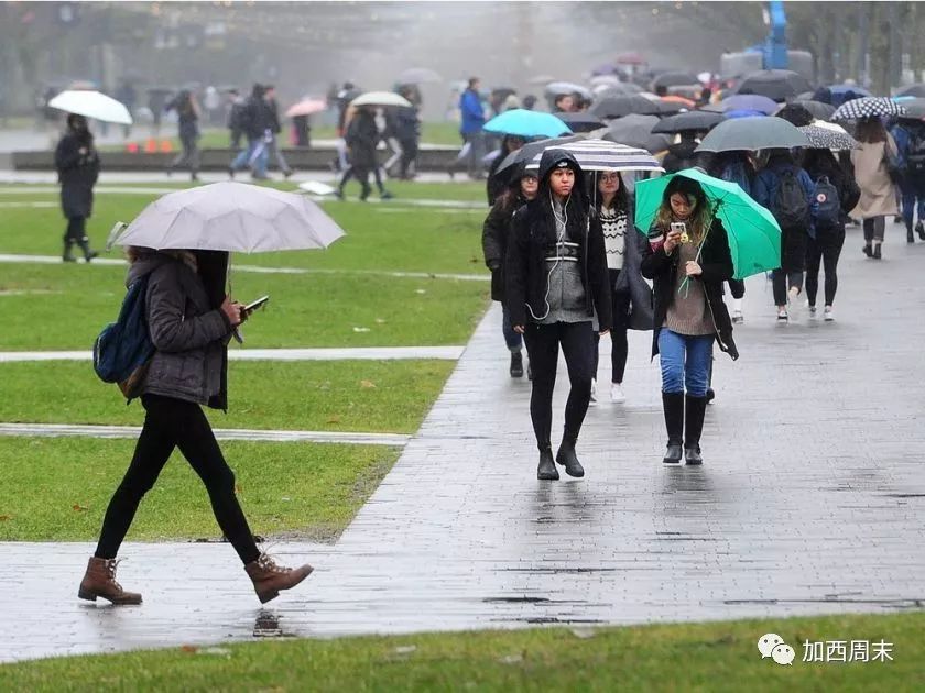 扎心！温哥华今年冬天将很难熬！大量降雨降雪 做好准备吧！