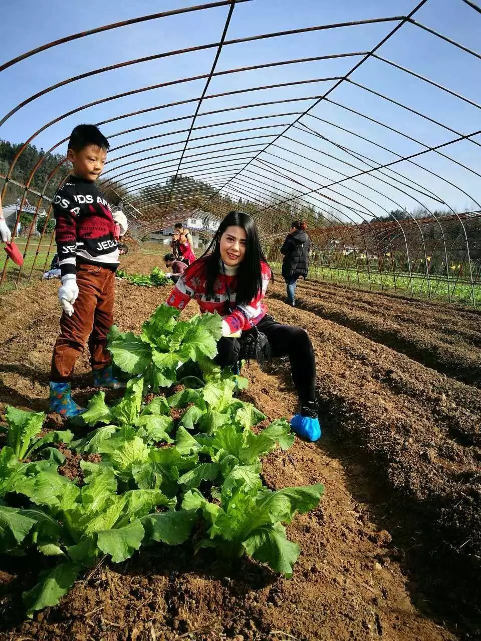 种菜,抓野鸡,吃"野"山羊,城里人到点军开农场都不想回来了