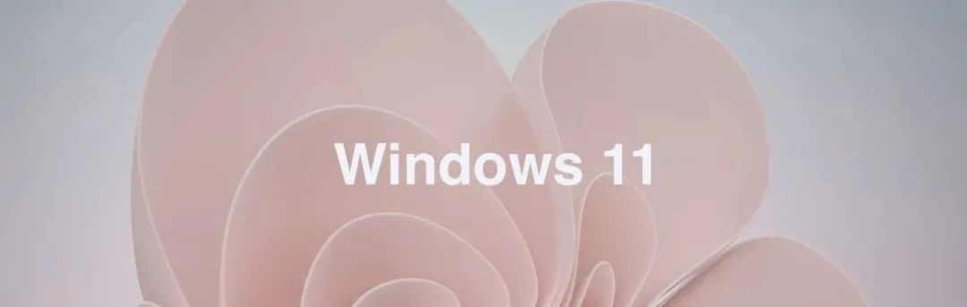 Win11 神优化!CPU、内存占用暴降，速度傻快让人秒弃 Win10
