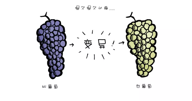 紅葡萄酒說:“如果你一定要找茬,我也是樂意奉陪的” 紅葡萄酒說:“如果你一定要找茬,我也是樂意奉陪的”