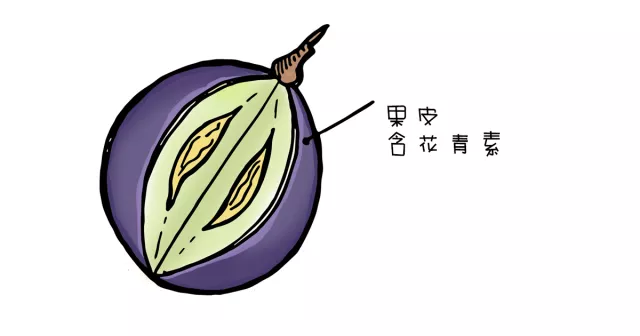 紅葡萄酒說:“如果你一定要找茬,我也是樂意奉陪的” 紅葡萄酒說:“如果你一定要找茬,我也是樂意奉陪的”